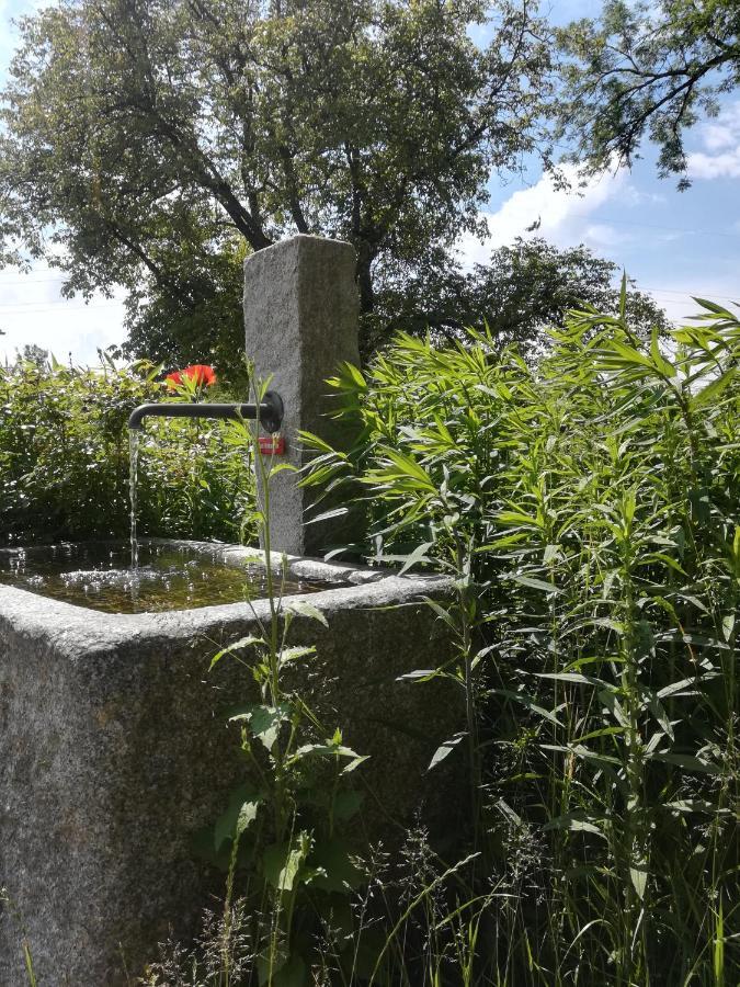 Marxhof Seebruck Am Chiemsee Seeon-Seebruck Zewnętrze zdjęcie